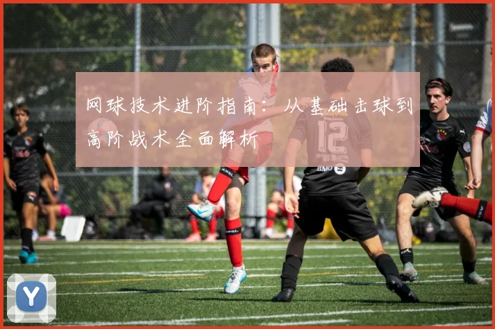 网球技术进阶指南：从基础击球到高阶战术全面解析