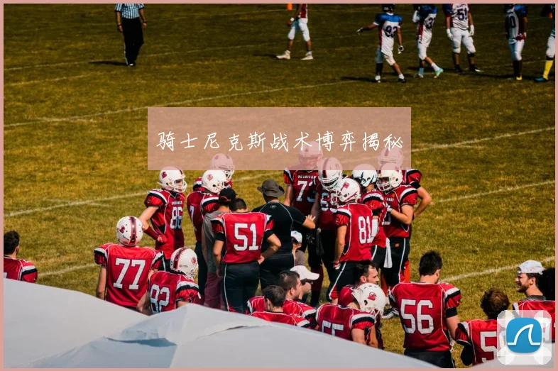 骑士尼克斯战术博弈揭秘