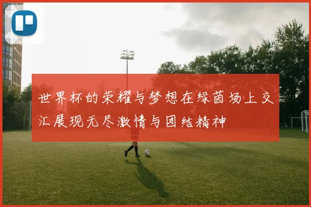 世界杯的荣耀与梦想在绿茵场上交汇展现无尽激情与团结精神