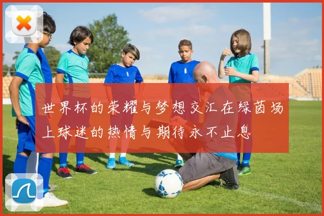 世界杯的荣耀与梦想交汇在绿茵场上球迷的热情与期待永不止息