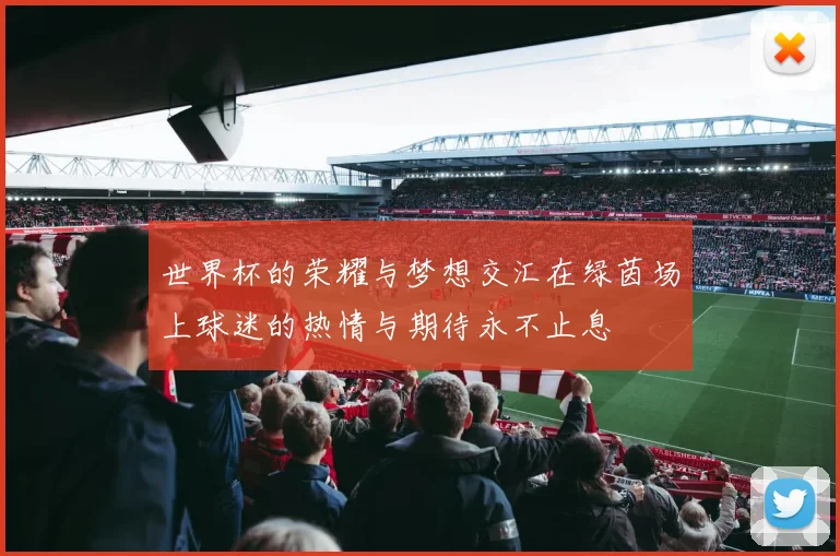 世界杯的荣耀与梦想交汇在绿茵场上球迷的热情与期待永不止息