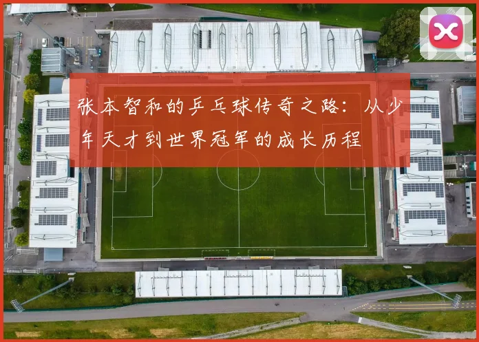 张本智和的乒乓球传奇之路：从少年天才到世界冠军的成长历程