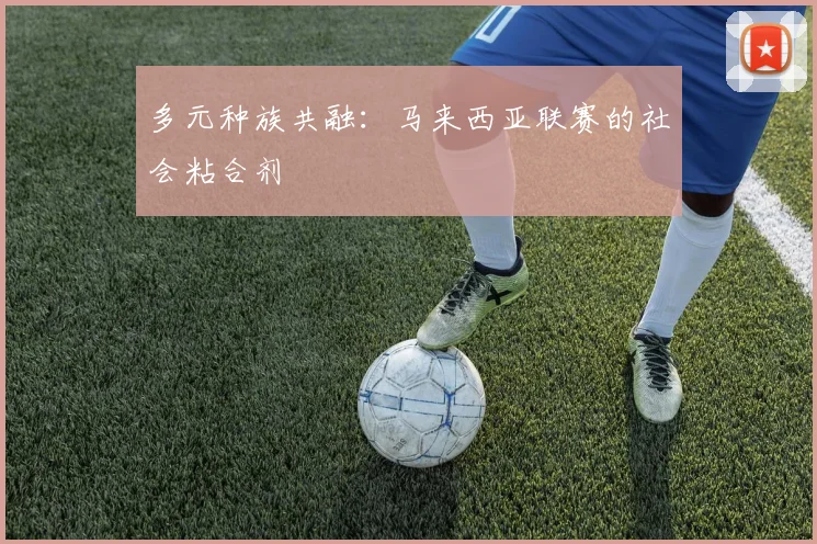 多元种族共融：马来西亚联赛的社会粘合剂